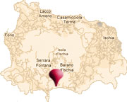 Ischia Map